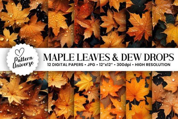 Fall Maple Leaves Dew Drops Patterns: A Comprehensive Evaluation